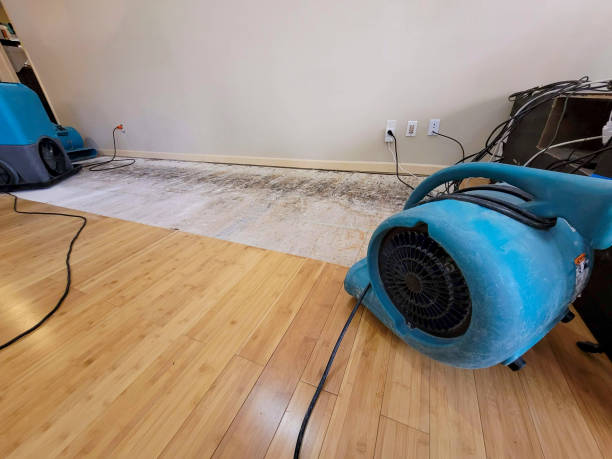 Professional Sewage Cleanup technician working in Bayside, WI